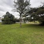 PHOTO-2026-06-01-17-10-57 11