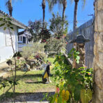 IMG_20260718_113517