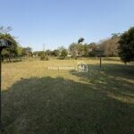 IMG_0958