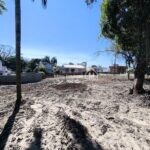 IMG_20260823_122918
