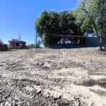 IMG_20260823_122959