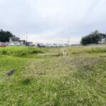 IMG_20260828_095734