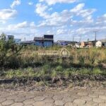 IMG_20260920_170835