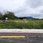 IMG_20261014_111652
