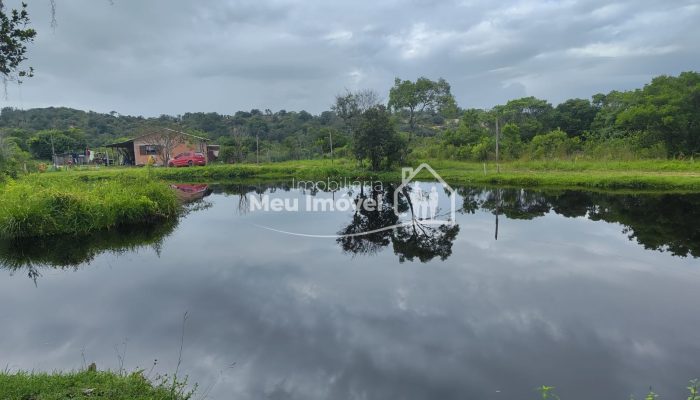 287f7d04-2e17-4587-b50e-01b0aa6a8949