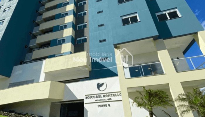 WhatsApp Image 2026-02-11 at 12.17.37