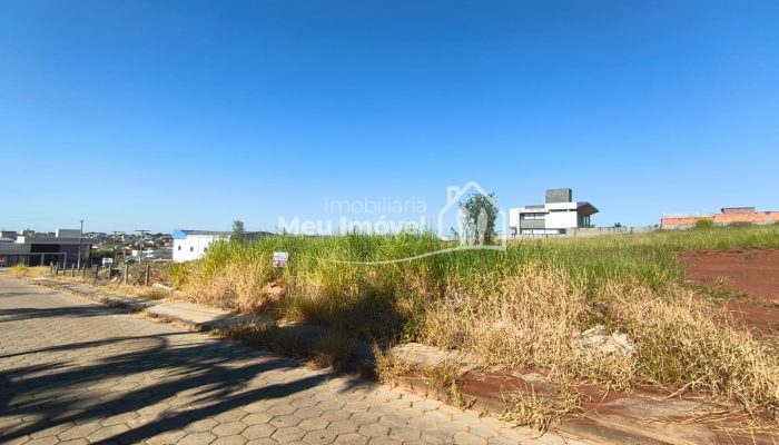 WhatsApp Image 2026-02-11 at 14.12.19