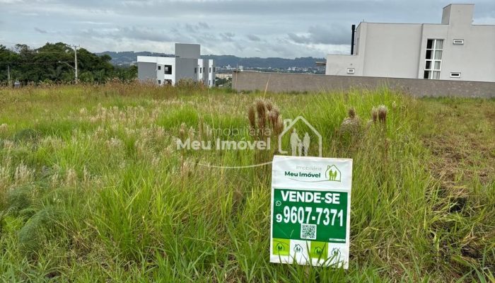 WhatsApp Image 2026-03-16 at 09.48.51