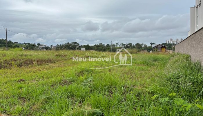 WhatsApp Image 2026-03-16 at 10.37.25